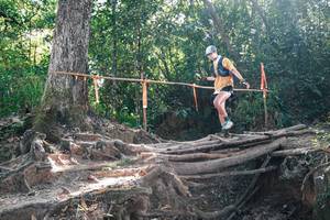 BIB: 
                            <button type="button" onclick="openModal(27748771)" class="btn btn-primary btn-sm float-right btn-popup" data-toggle="modal" data-target=".modal-high-quality">
                        <i class="fas fa-shopping-cart"></i> Add to Cart
                    </button>
                                            <button type="button" onclick="isThisMe(27748771, true)" class="btn btn-success btn-sm float-right btn-popup btn-isme hidden" data-toggle="tooltip" data-placement="bottom" title="นี่คือรูปของคุณใช่ไหม คลิกที่นี่เพื่อเอาเข้าอัลบั้ม">
                        <i class="fas fa-plus"></i> Add to album
                    </button>
                    <button type="button" onclick="isThisMe(27748771, false)" class="btn btn-warning btn-sm float-right btn-popup btn-isnotme hidden">
                        <i class="fas fa-ban"></i> Remove from album
                    </button>